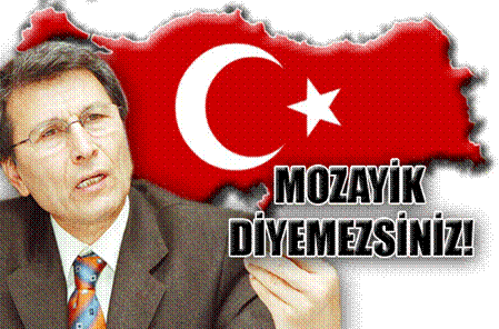 MOZAYİK DİYEMEZSİNİZ!