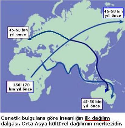 TÜRKLÜĞÜN GENETİK BULGULARI
