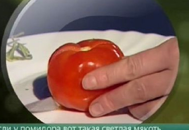 DOMATES Mİ, TENİS TOPU MU?